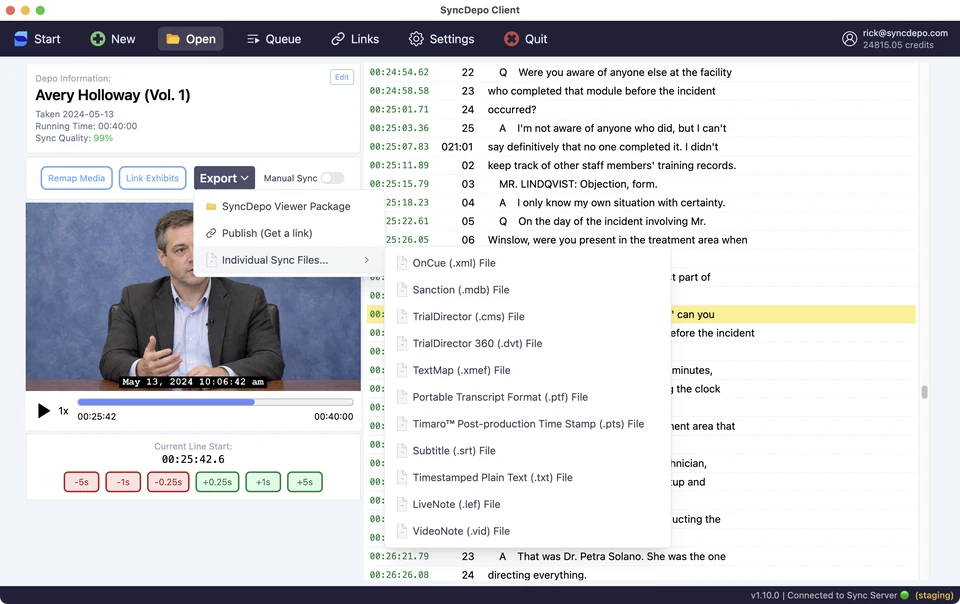 Export menu with Individual Sync Files expanded to show the available file formats.
